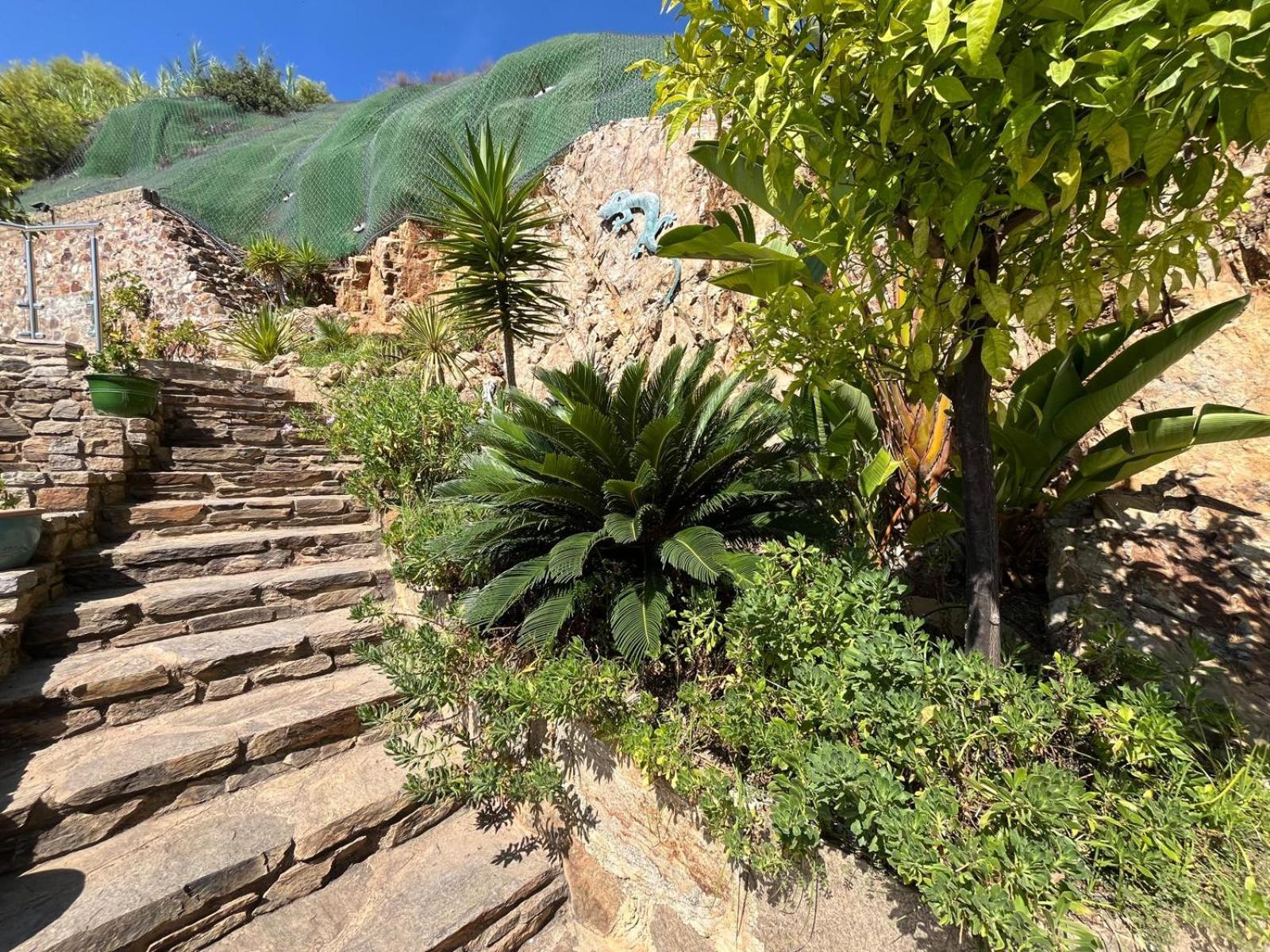Meublé tourisme 4*, les pieds dans l'eau, Villa LAS PALMERAS La Londe-les-Maures Esterno foto